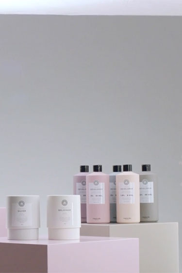 Bleach collection: Introduction