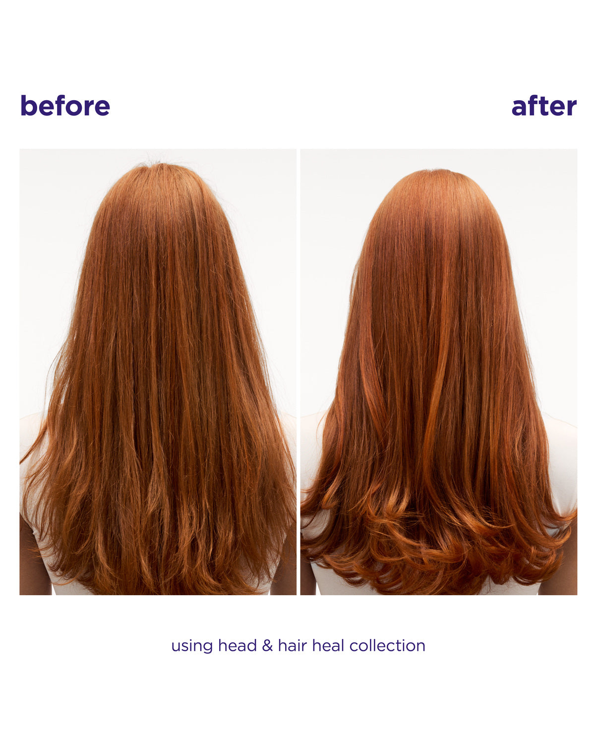 Head & Hair Heal Shampoo