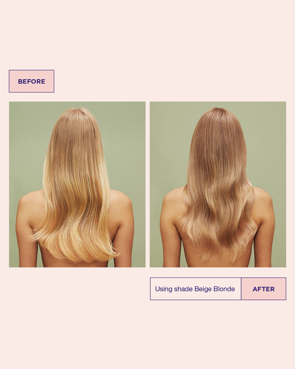 Before and after comparison of hair color transformation using shade Beige Blonde.